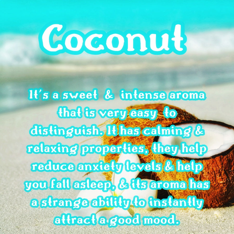 Coconut Waves Snow Cone | Sweet Coconut, Vanilla, & Sea Salt Scented Wax Melt | Tropical & Warm