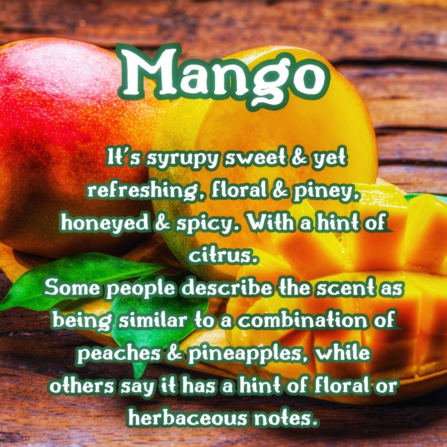 Passionfruit Paradise Snow Cone | Passionfruit, Pineapple, & Mango Scented Wax Melt | Fruity & Tropical