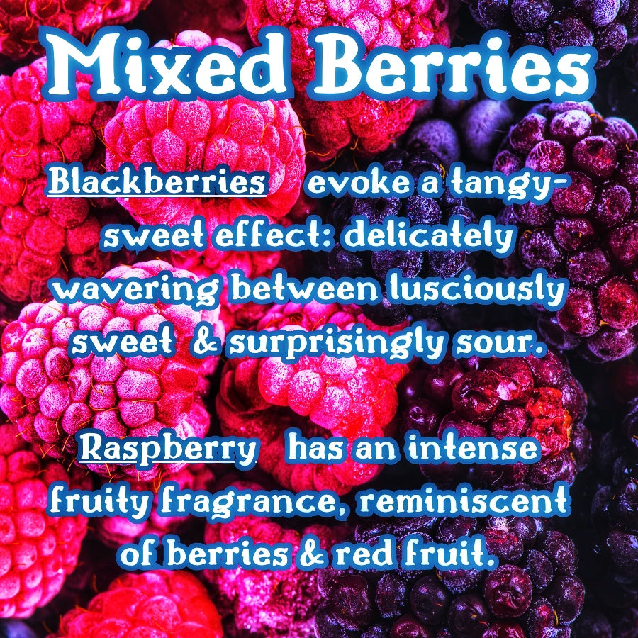 Wild Berry Blizzard Snow Cone| Mixed Berry, Green Apple, & Vanilla Scented Wax Melt | Fruity & Crisp