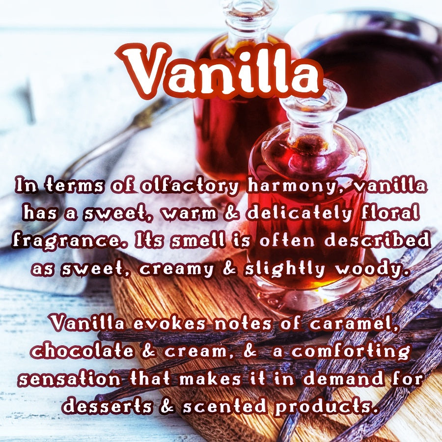 Wild Berry Blizzard Snow Cone| Mixed Berry, Green Apple, & Vanilla Scented Wax Melt | Fruity & Crisp