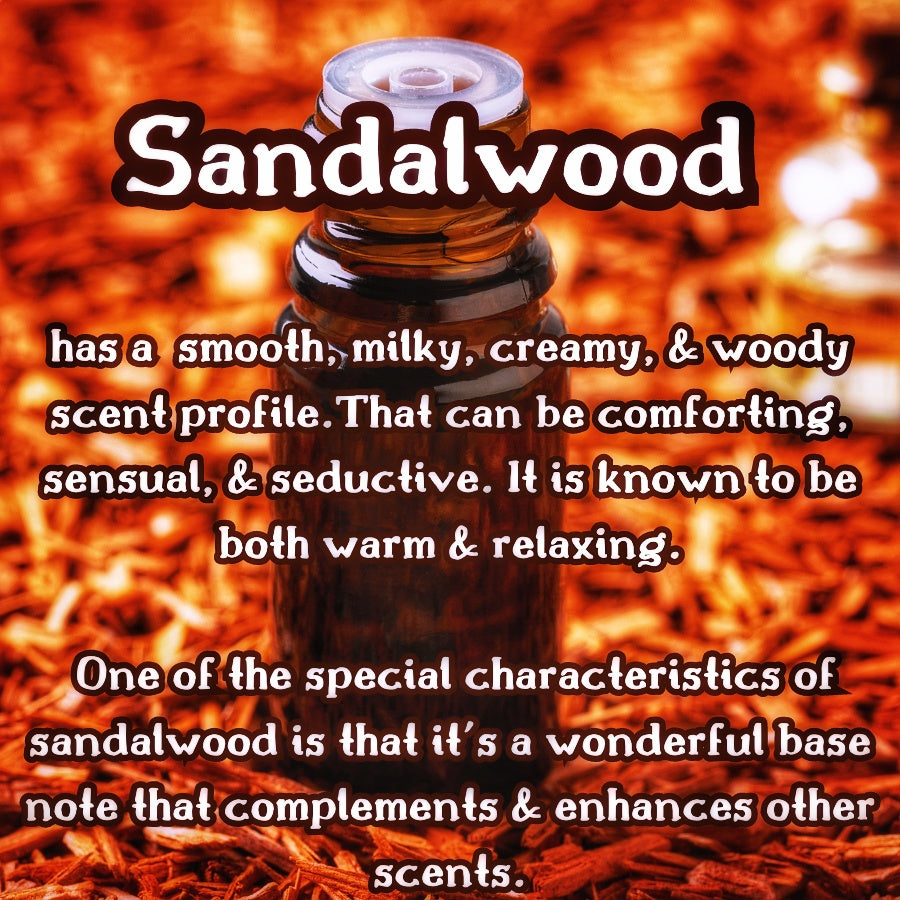 Blue Leather | Sandalwood, Patchouli, & Vanilla| Scented Wax Melt | Woodsy