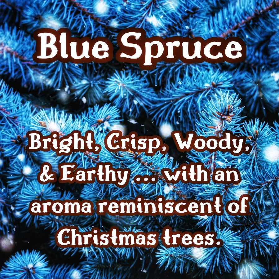 Blue Pines | Spruce, Evergreen, & Spiced Honey Scented Wax Melt | Earthy & Warm | Winter Fragrance