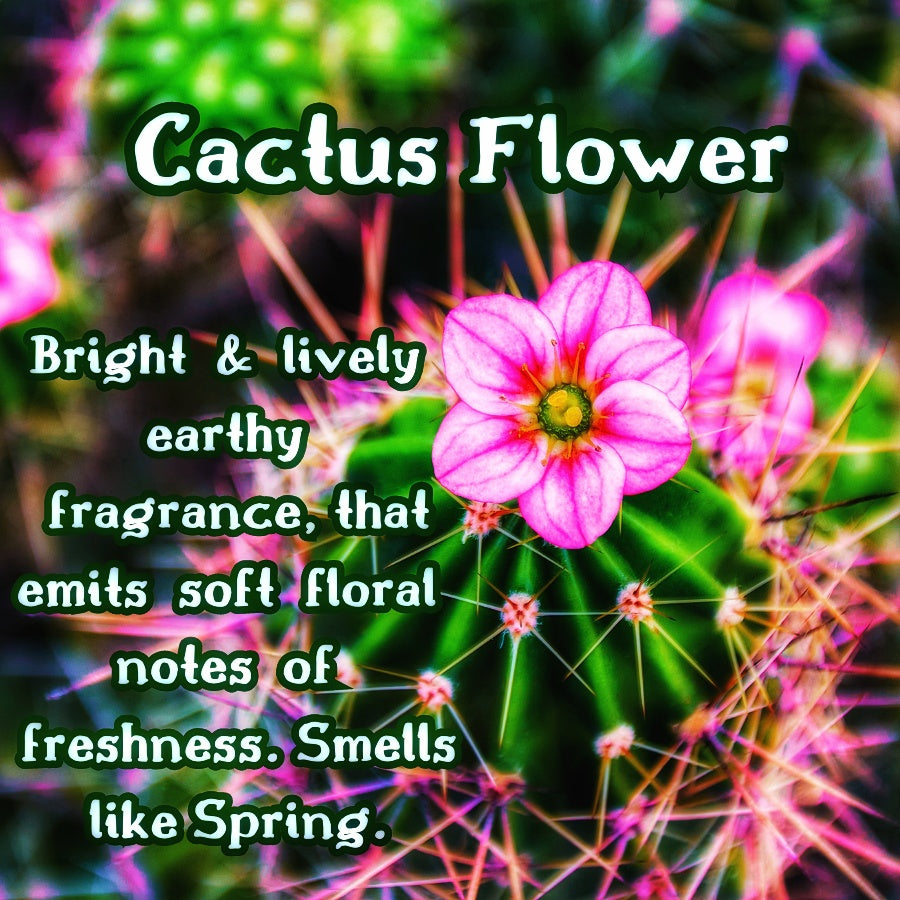Cactus Flower | Cactus Blossom & Coconut Scented Wax Melt | Fresh & Floral