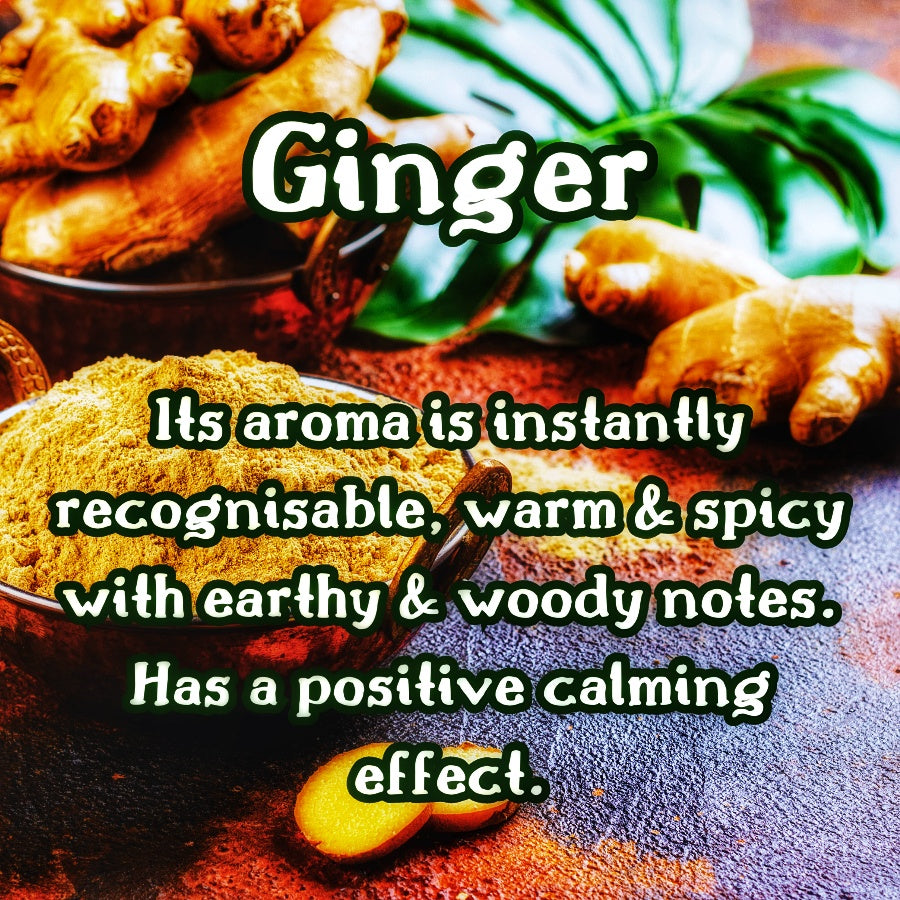 White Tea | Ginger Jasmine Lemon | 4 oz Room & Linen Spray| Fruity & Floral | Fine Mist | Cozy Fall Aroma