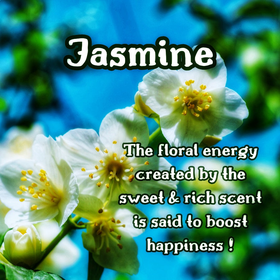 White Tea | Ginger Jasmine Lemon | 4 oz Room & Linen Spray| Fruity & Floral | Fine Mist | Cozy Fall Aroma