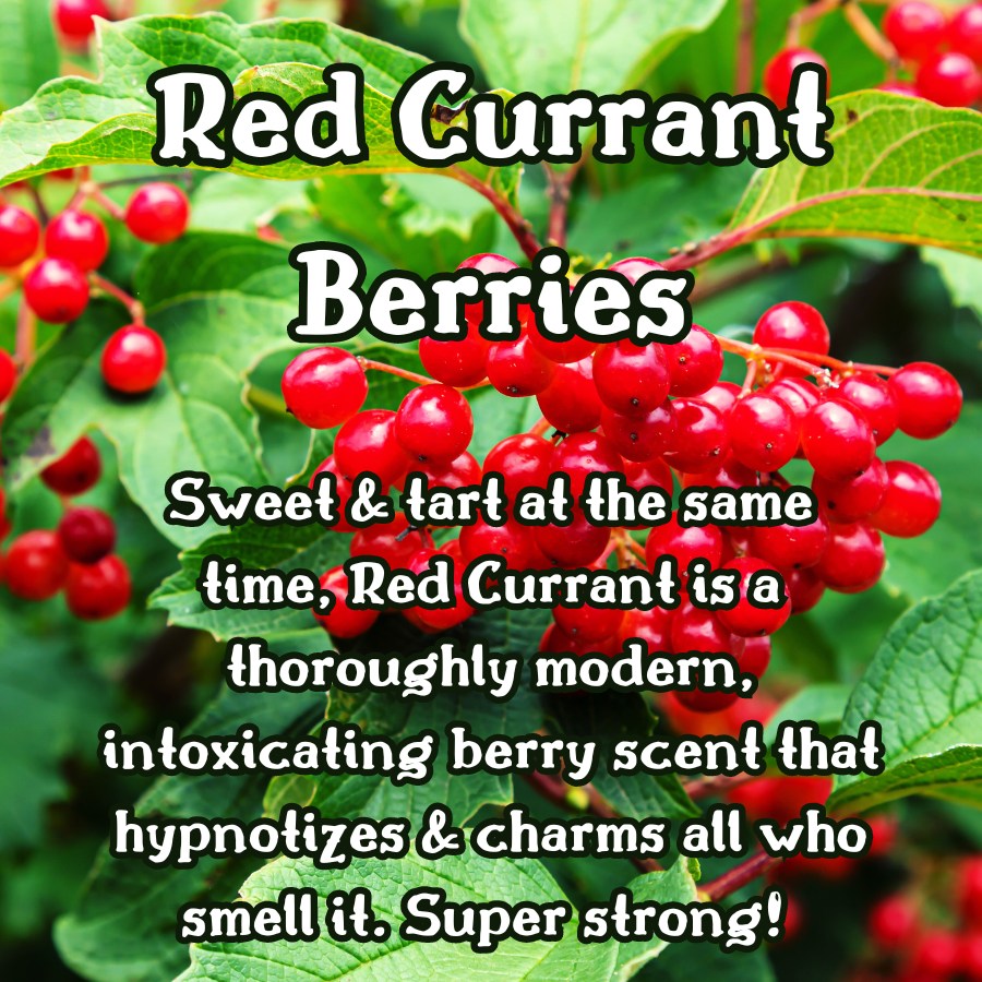 Red Currant Ivy Incense Sticks | Pink Grapefruit , Pear, & Red Currants | Fruity & Tart | Highly Fragrant | Low Smoke | Clean Burn