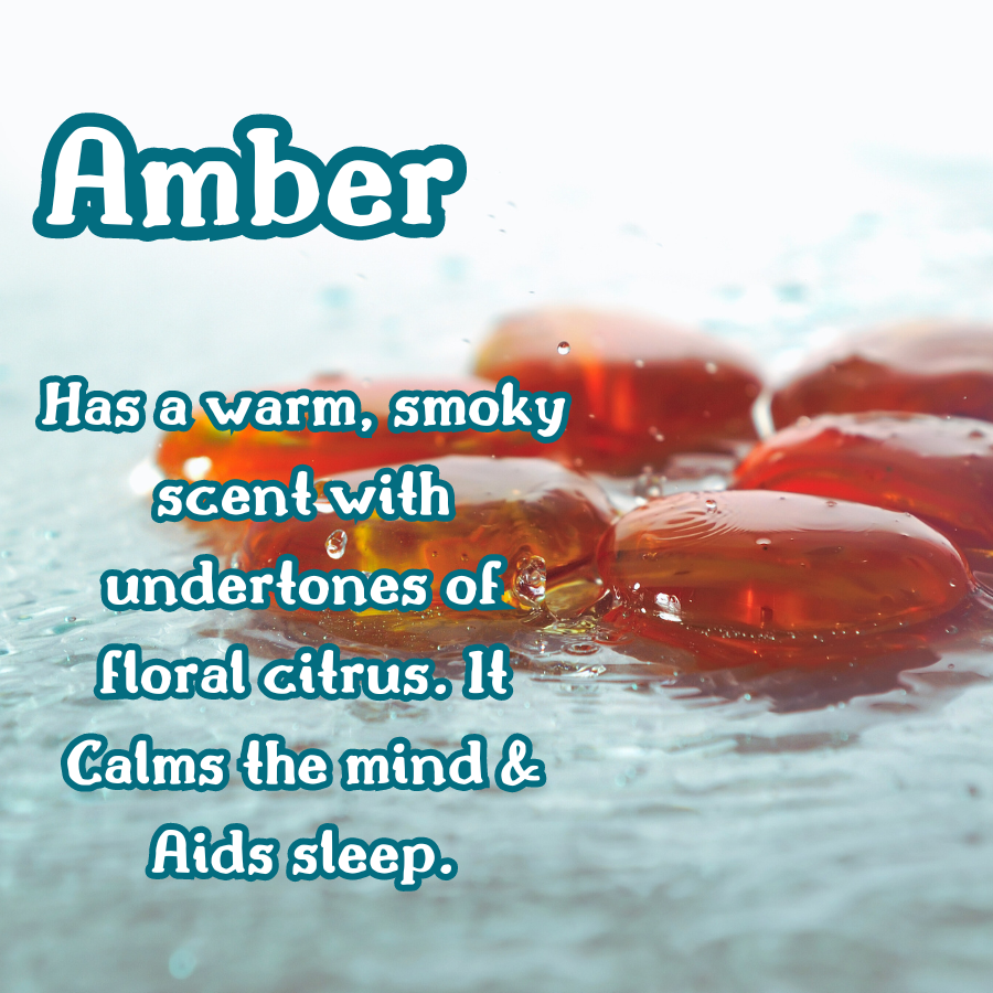 Amber & Driftwood 4 oz Room & Linen Spray | Driftwood, Amber, & Powder | Earthy & Woodsy | Fine Mist