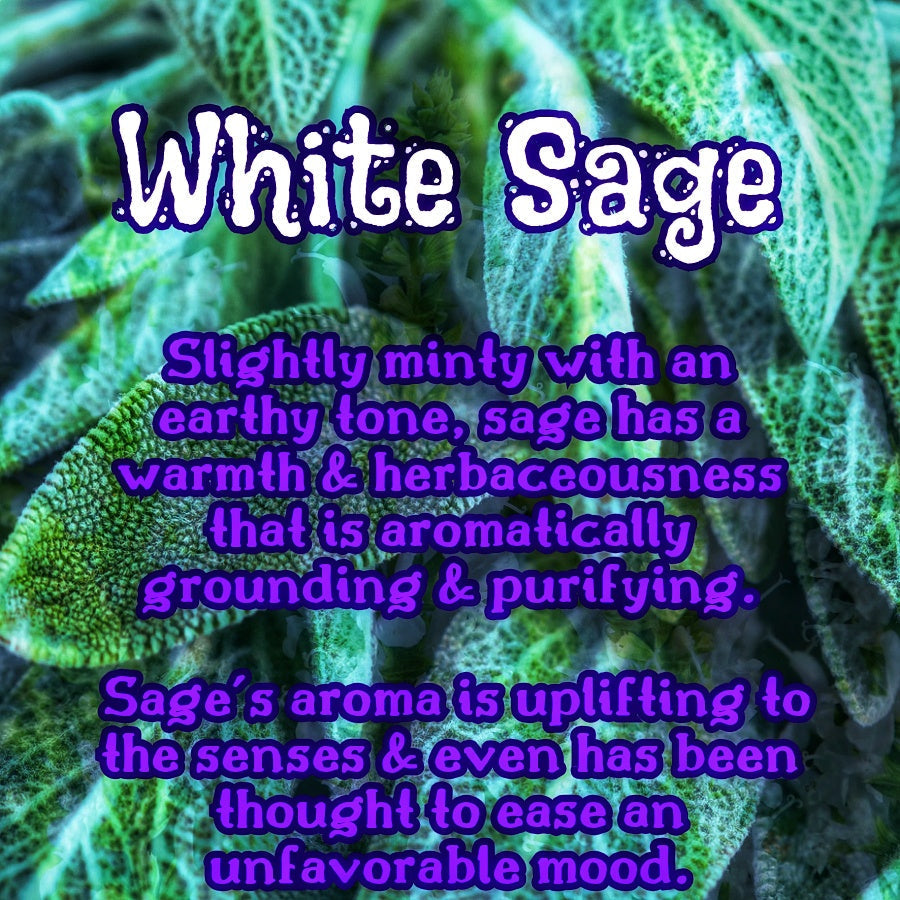 White Sage & Citrus | Sage, White Musk, & Lemon-Lime  Scented Wax Melts | Fresh & Clean