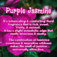Violet Garden | Jasmine, Lilac, & Rose  Scented Wax Melt | Floral