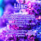 Violet Garden | Jasmine, Lilac, & Rose 4 oz Room & Linen Spray  | Floral