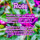 Violet Garden | Jasmin, Lilac, & Rose  9 oz Scented Candle | Floral