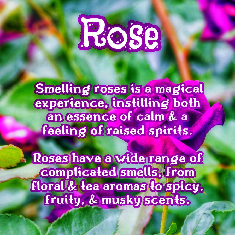 Violet Garden | Jasmine, Lilac, & Rose 4 oz Room & Linen Spray  | Floral