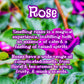 Violet Garden | Jasmine, Lilac, & Rose  Scented Wax Melt | Floral