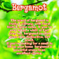 Orange Blossom | Bergamot, Sandalwood , & Jasmine Scented Wax Melt | Floral & Woodsy