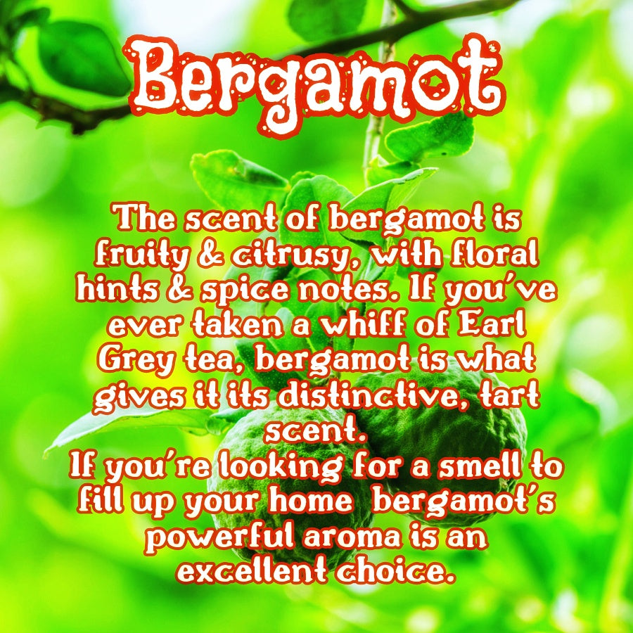 Orange Blossom | Bergamot, Sandalwood , & Jasmine Scented Wax Melt | Floral & Woodsy