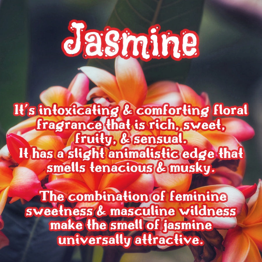 Orange Blossom | Bergamot, Sandalwood , & Jasmine Scented Wax Melt | Floral & Woodsy
