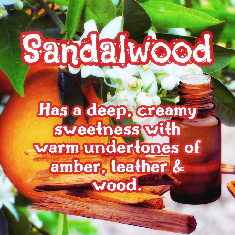 Orange Blossom | Bergamot, Sandalwood , & Jasmine 9 oz Scented Candle | Floral & Woodsy