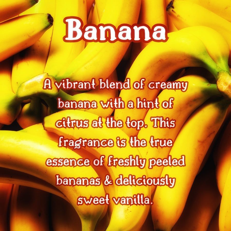 Banana Creamsicle Snow Cone | Banana & Vanilla Bean Scented Wax Melt | Sweet & Fruity