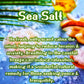 Coconut Waves Snow Cone | Sweet Coconut, Vanilla, & Sea Salt Scented Wax Melt | Tropical & Warm