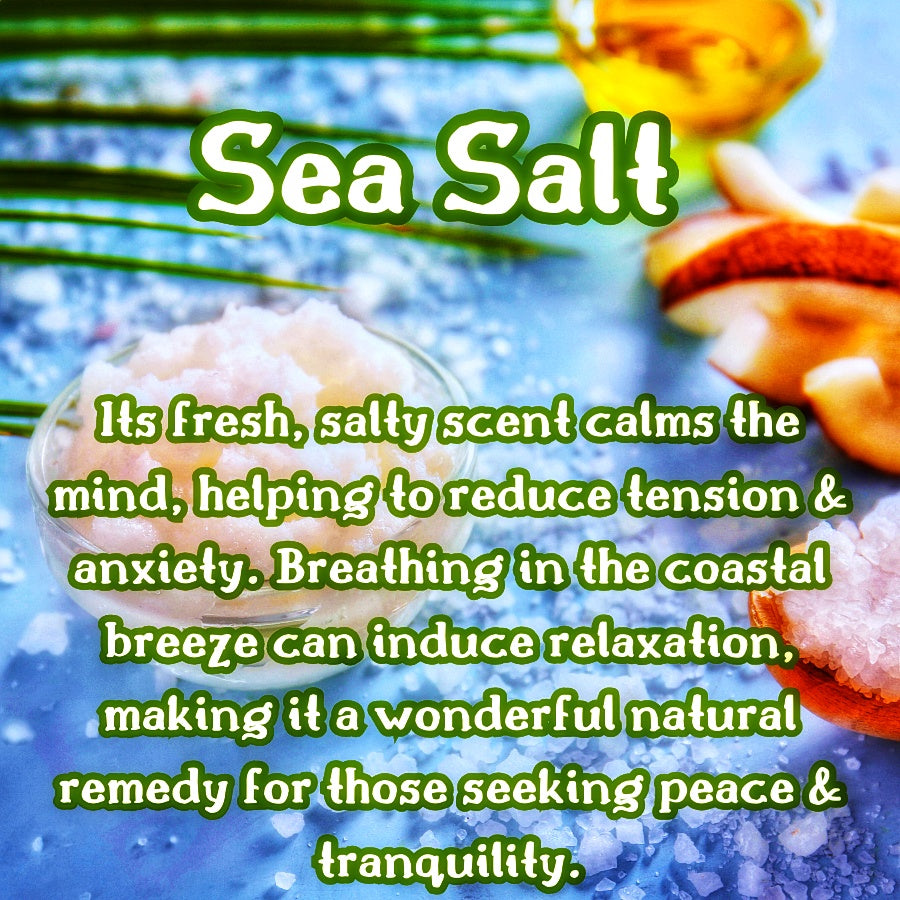 Coconut Waves Snow Cone | Sweet Coconut, Vanilla, & Sea Salt Scented Wax Melt | Tropical & Warm