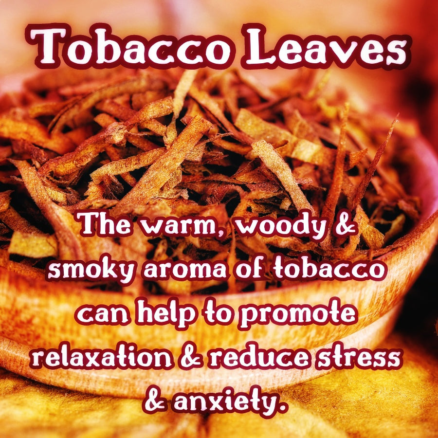 Spiced Honey | Spiced Honey, Tobacco Leaves, & Dark Musk  Scented Wax Melt | Warm & Woodsy