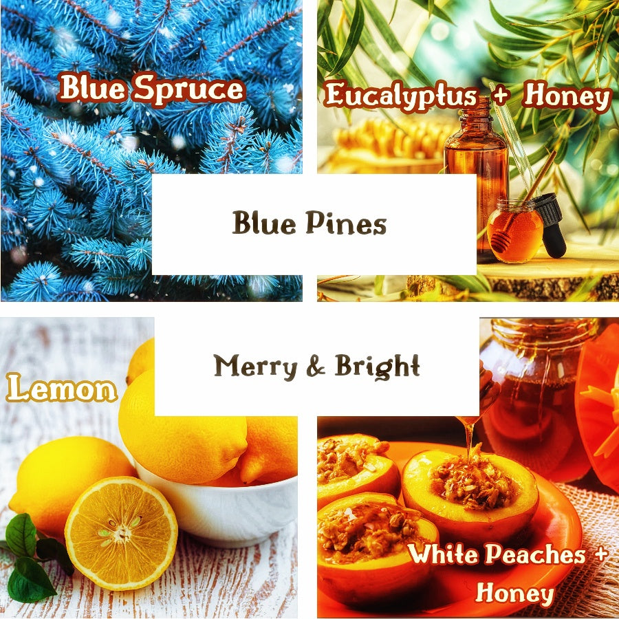 The Winter Fragrance Wax Melt Bundle
