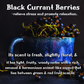 Tea Time | Black Tea & Black Currant 9 oz Scented Candle | Fruity & Crisp