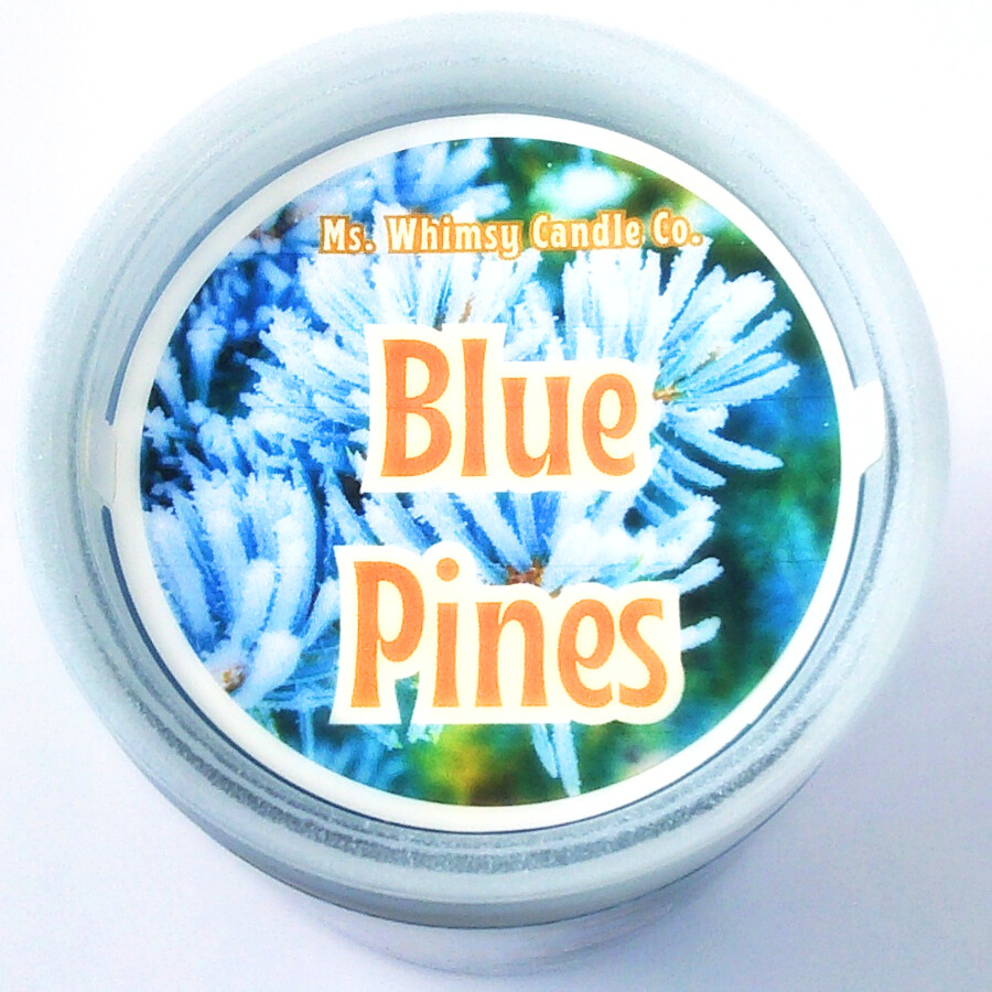 Blue Pines | Spruce, Evergreen, & Spiced Honey | 12 oz Scented Candle | Earthy & Warm | Winter Fragrance