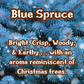 Blue Pines | Spruce, Evergreen, & Spiced Honey | 12 oz Scented Candle | Earthy & Warm | Winter Fragrance