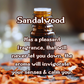 Charred Birchwood & Ice | Birch & Vanilla 9 oz Scented Candle | Earthy Woods & Sweet Vanilla | Cozy Fall Aroma