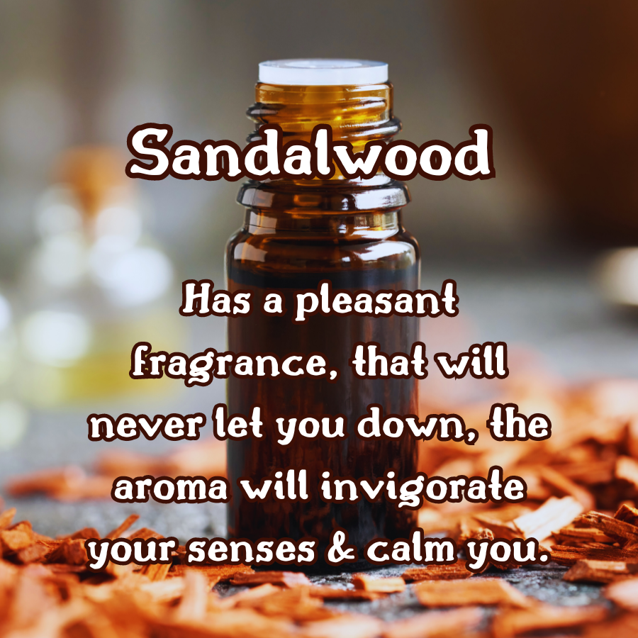 Charred Birchwood & Ice | Birch & Vanilla 9 oz Scented Candle | Earthy Woods & Sweet Vanilla | Cozy Fall Aroma