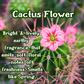 Cactus Flower Incense Sticks | Cactus Blossom  & Coconut | Fresh & Floral | Highly Fragrant | Low Smoke | Clean Burn