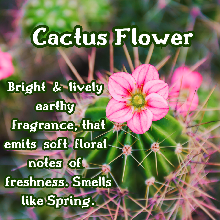Cactus Flower Incense Sticks | Cactus Blossom  & Coconut | Fresh & Floral | Highly Fragrant | Low Smoke | Clean Burn