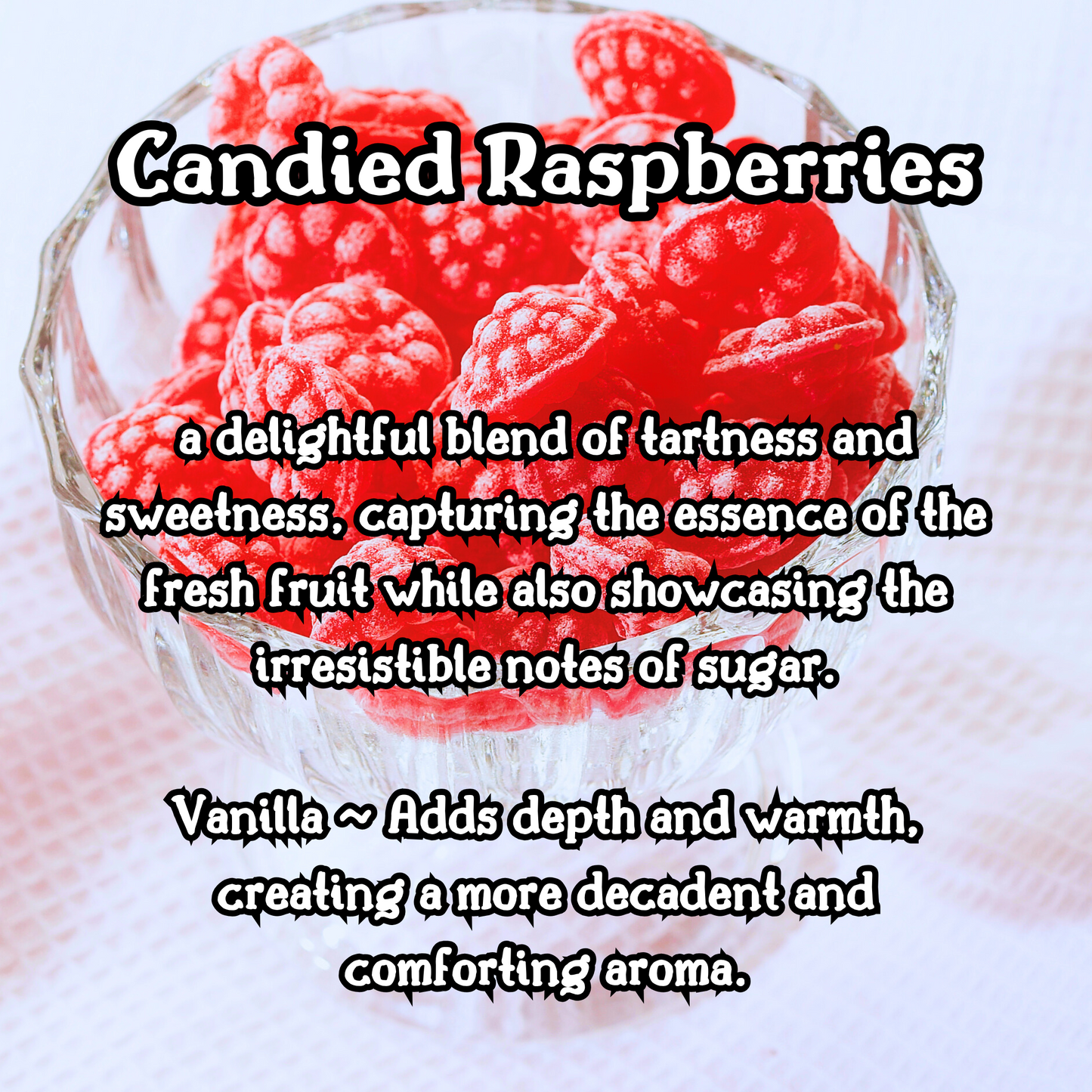 Dark Chocolate Raspberry | Rich Chocolate  Raspberry Vanilla  |  9 oz Scented Candle | Sweet Fruity | Cozy Fall Aroma