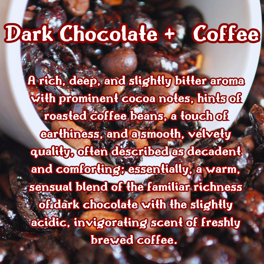 Dark Chocolate Raspberry | Rich Chocolate  Raspberry Vanilla  |  9 oz Scented Candle | Sweet Fruity | Cozy Fall Aroma