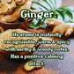 Butterscotch Tea  2 oz Room & Linen Spray  White Tea  Caramel  Lemon  Ginger |  Sweet Buttery Fresh | Cozy Fall Aroma