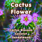 Cactus Flower Incense Sticks | Cactus Blossom  & Coconut | Fresh & Floral | Highly Fragrant | Low Smoke | Clean Burn