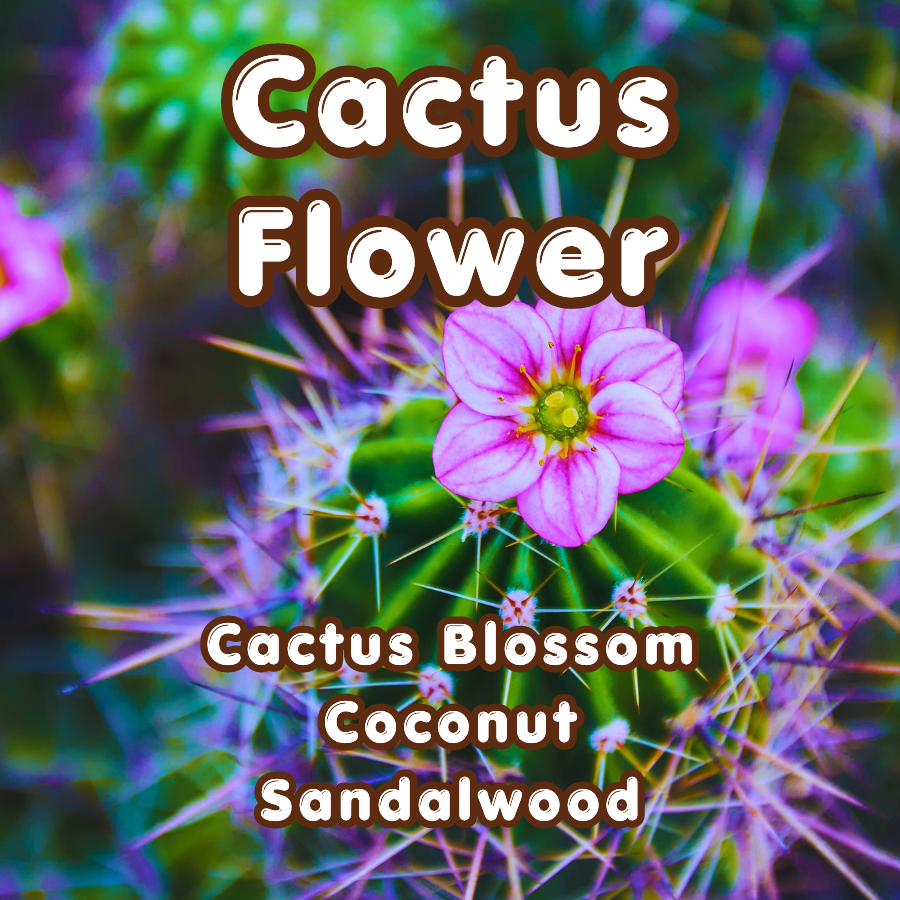 Cactus Flower Incense Sticks | Cactus Blossom  & Coconut | Fresh & Floral | Highly Fragrant | Low Smoke | Clean Burn