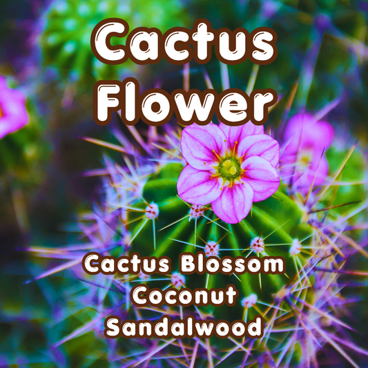Cactus Flower Incense Sticks | Cactus Blossom  & Coconut | Fresh & Floral | Highly Fragrant | Low Smoke | Clean Burn