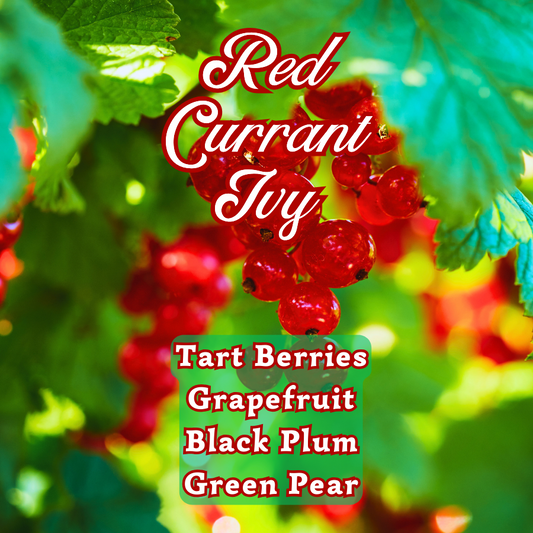 Red Currant Ivy Incense Sticks | Pink Grapefruit , Pear, & Red Currants | Fruity & Tart | Highly Fragrant | Low Smoke | Clean Burn