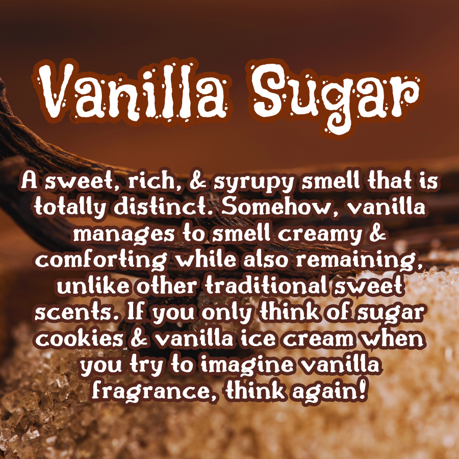 Vanilla Cedar | Vanilla Sugar & Cedarwood  Incense Sticks | Sweet & Woody | Highly Fragrant | Low Smoke| Clean Burn