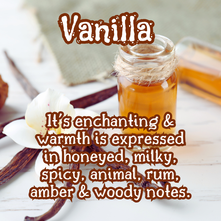Vanilla Oak | Smoky Vanilla & Oak | 4 oz Room & Linen Spray | Sweet & Woody | Fine Mist | Cozy Fall Aroma