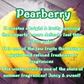 Banana Creamsicle Snow Cone | Banana & Vanilla Bean Scented Wax Melt | Sweet & Fruity