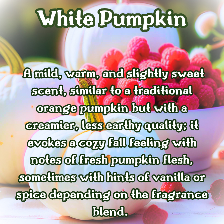 Raspberry Vanilla Pumpkin | White Pumpkin  Raspberry  Vanilla  |  9 oz Scented Candle | Sweet Fruity | Cozy Fall Aroma