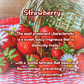 Cherry Berry Bliss | Red Cherry  Raspberry Jam  Vanilla Sugar  |  9 oz Scented Candle | Sweet Fruity | Cozy Fall Aroma