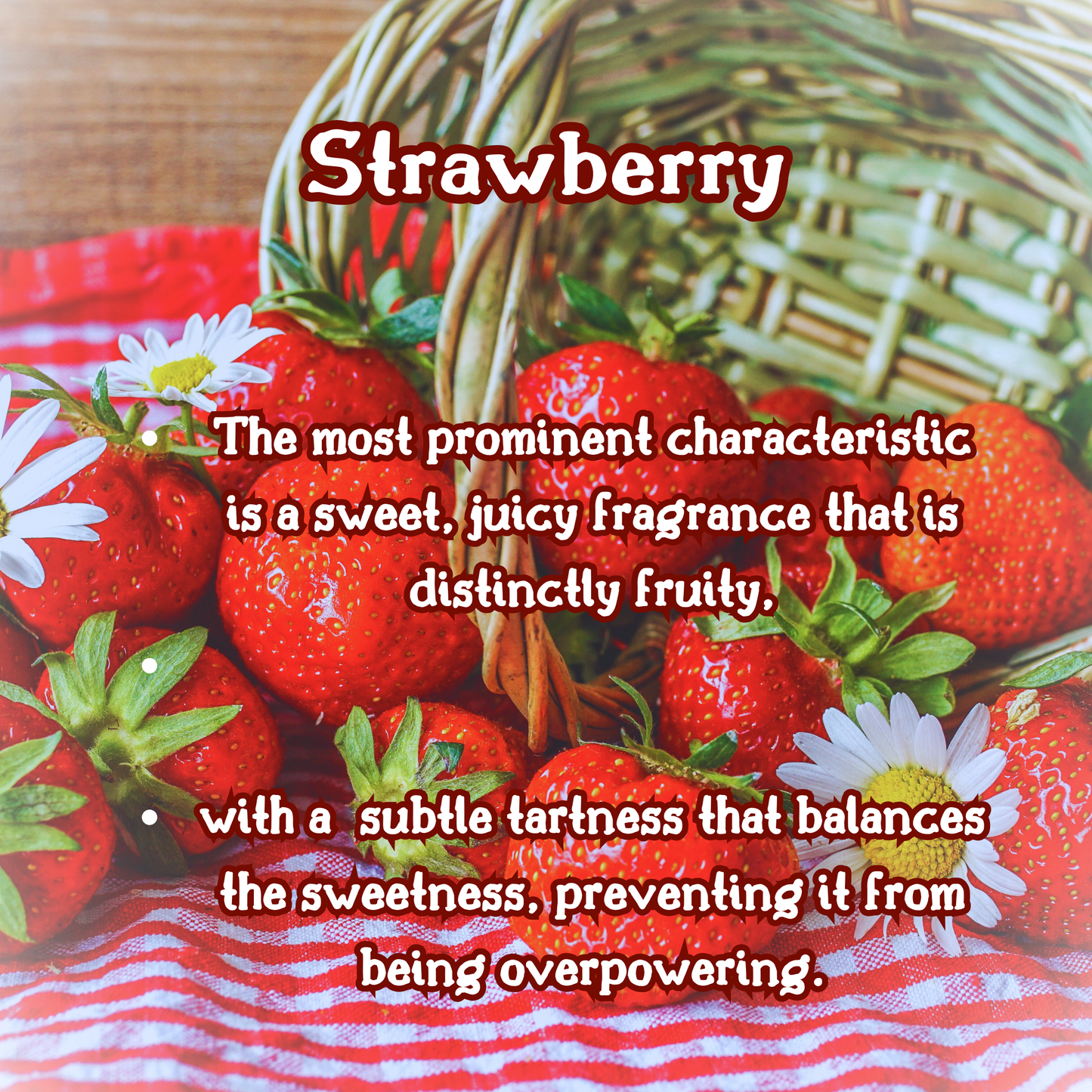 Cherry Berry Bliss | Red Cherry  Raspberry Jam  Vanilla Sugar  |  9 oz Scented Candle | Sweet Fruity | Cozy Fall Aroma