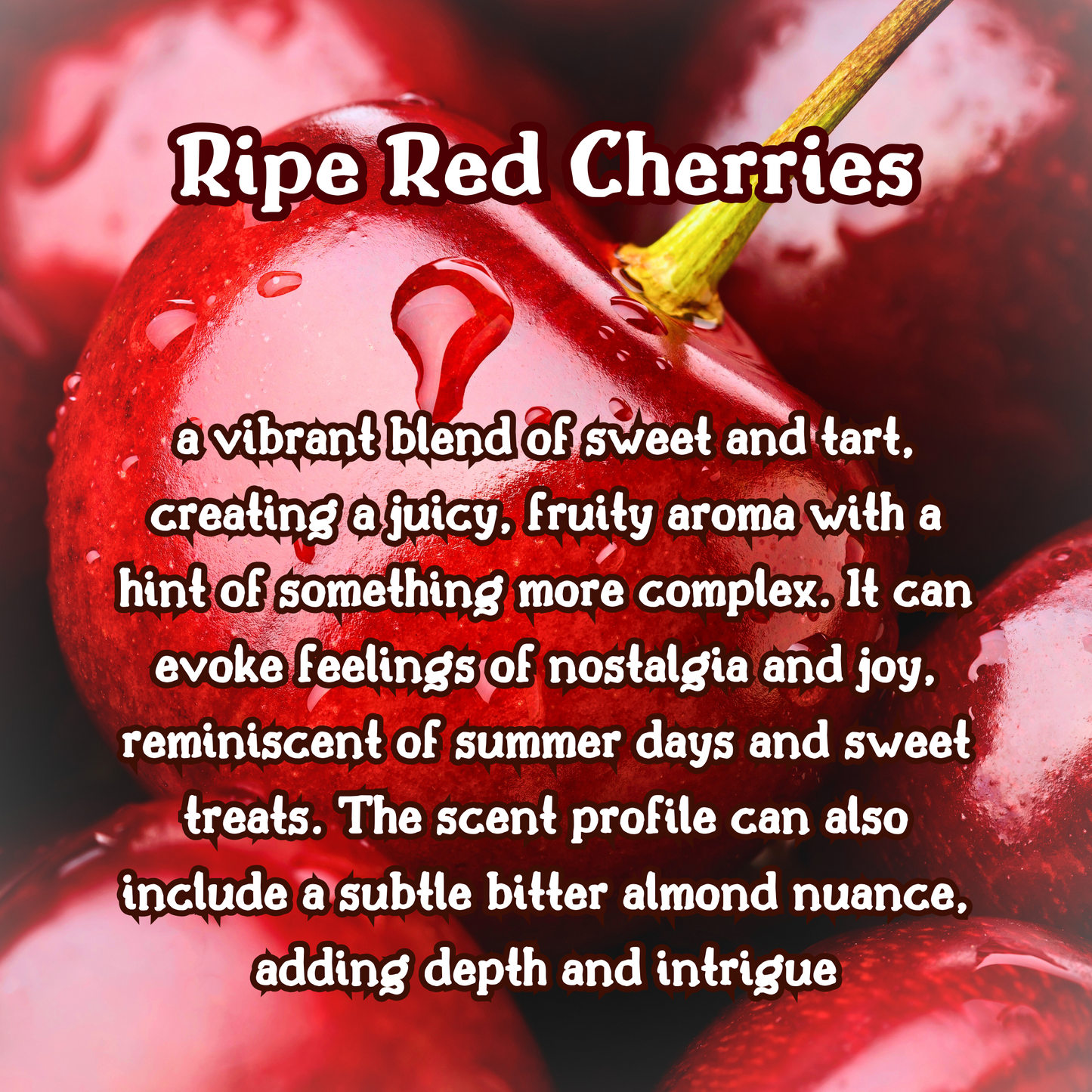 Cherry Berry Bliss | Red Cherry  Raspberry Jam  Vanilla Sugar  |  9 oz Scented Candle | Sweet Fruity | Cozy Fall Aroma