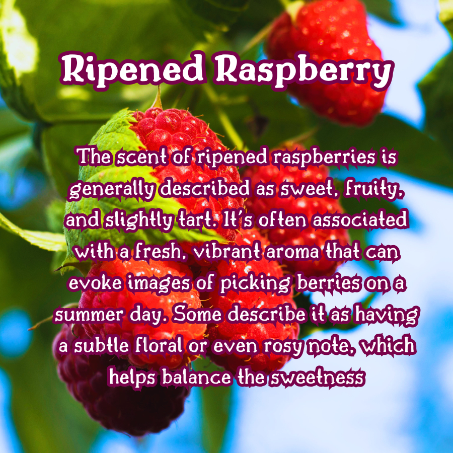 Sugared Wildberries 2 oz Room & Linen Spray | Cherry  Raspberry Blueberries  Vanilla Musk|  Fruity  | Fine Mist | Cozy Fall Aroma