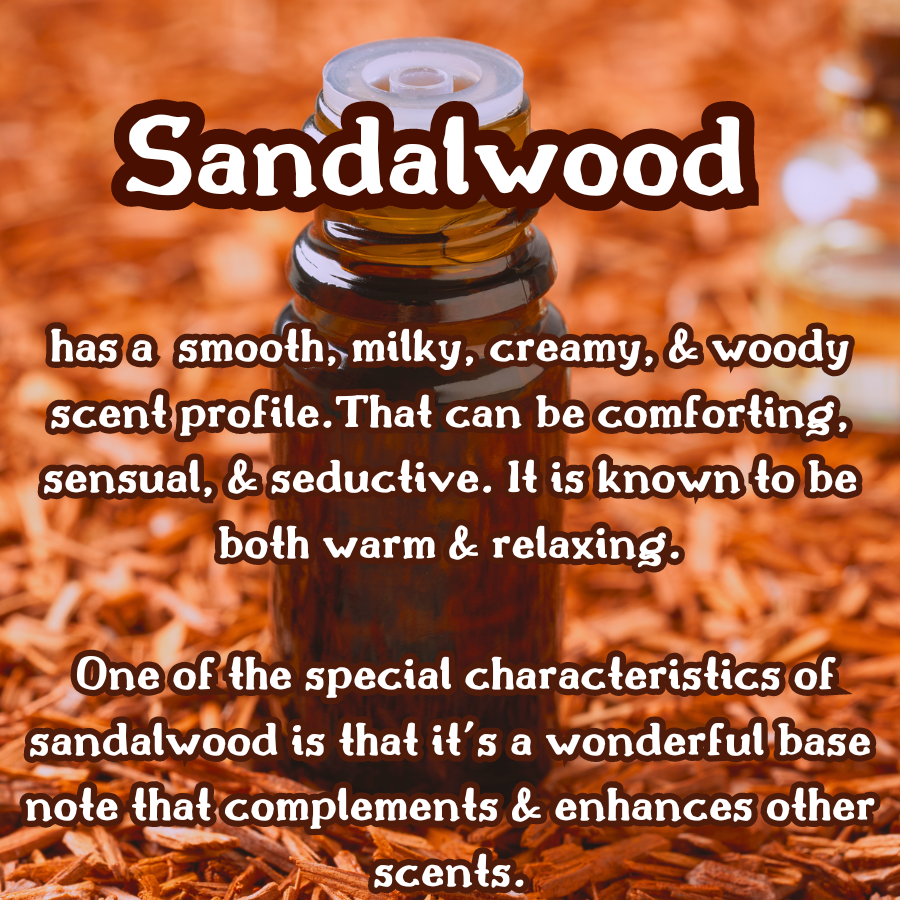 Blue Leather | Sandalwood, Patchouli, & Vanilla | 9 oz Scented Candle | Woodsy