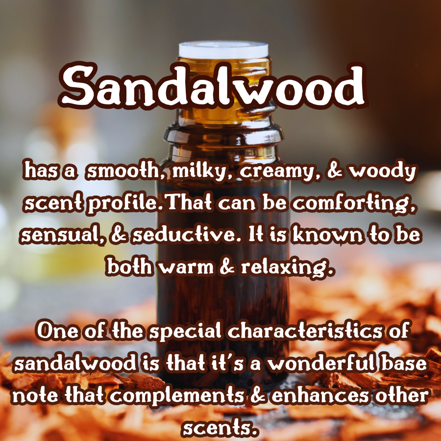 Vanilla Birch Incense Sticks | White Birch, Vanilla, & Sandalwood | Vanilla & Woodsy | Highly Fragrant | Low Smoke | Clean Burn